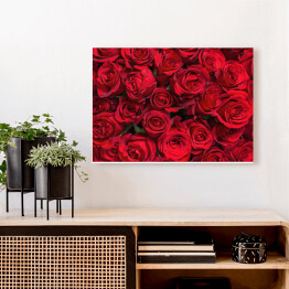 Obraz klasyczny Kolorowe kwiaty - bukiet czerwonych róż