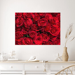 Plakat samoprzylepny Kolorowe kwiaty - bukiet czerwonych róż