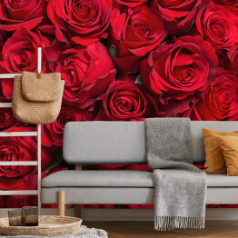 Fototapeta Kolorowe kwiaty - bukiet czerwonych róż