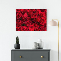 Obraz na płótnie Kolorowe kwiaty - bukiet czerwonych róż