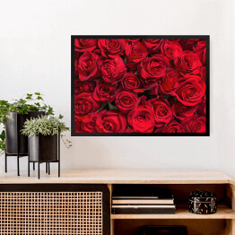 Obraz w ramie Kolorowe kwiaty - bukiet czerwonych róż