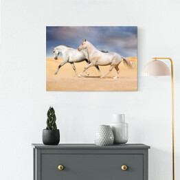 Obraz na płótnie Grupa jasnych koni galopująca na pustyni