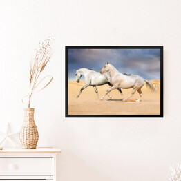 Obraz w ramie Grupa jasnych koni galopująca na pustyni