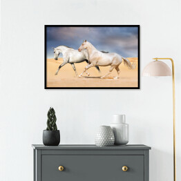 Plakat w ramie Grupa jasnych koni galopująca na pustyni