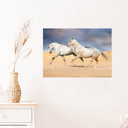 Plakat samoprzylepny Grupa jasnych koni galopująca na pustyni