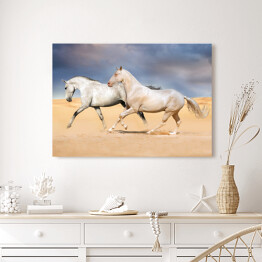Obraz na płótnie Grupa jasnych koni galopująca na pustyni