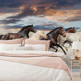 Pięć koni biegnących galopem na pustyni o zachodzie słońca