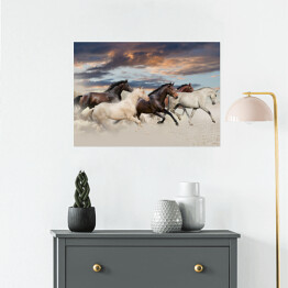 Plakat Pięć koni biegnących galopem na pustyni o zachodzie słońca