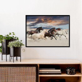Plakat w ramie Pięć koni biegnących galopem na pustyni o zachodzie słońca
