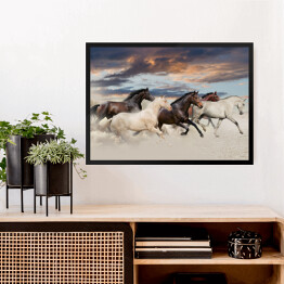 Obraz w ramie Pięć koni biegnących galopem na pustyni o zachodzie słońca