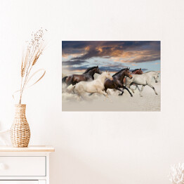 Plakat samoprzylepny Pięć koni biegnących galopem na pustyni o zachodzie słońca