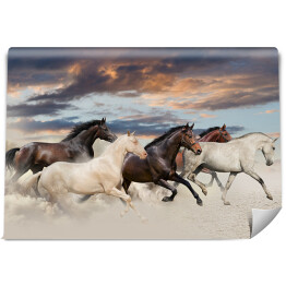 Pięć koni biegnących galopem na pustyni o zachodzie słońca