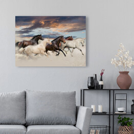Obraz na płótnie Pięć koni biegnących galopem na pustyni o zachodzie słońca