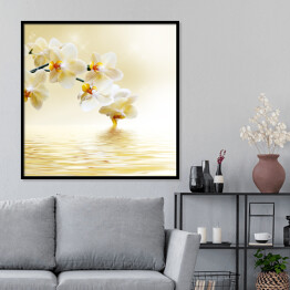 Plakat w ramie Piękna biała orchidea nad wodą