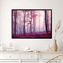 Obraz w ramie Jesienny las w odcieniach fioletu i czerwieni