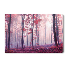 Obraz na płótnie Jesienny las w odcieniach fioletu i czerwieni