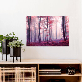 Plakat samoprzylepny Jesienny las w odcieniach fioletu i czerwieni