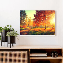 Obraz na płótnie Jesienny pejzaż - rozświetlone drzewa w parku 