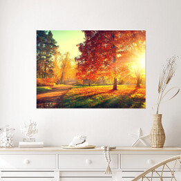 Plakat samoprzylepny Jesienny pejzaż - rozświetlone drzewa w parku 