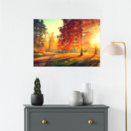 Plakat Jesienny pejzaż - rozświetlone drzewa w parku 