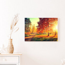Obraz na płótnie Jesienny pejzaż - rozświetlone drzewa w parku 