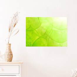 Plakat samoprzylepny Zielone tło z cienkich liści
