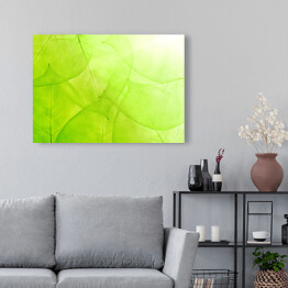 Obraz na płótnie Zielone tło z cienkich liści