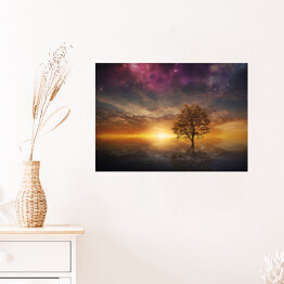 Plakat samoprzylepny Drzewo na tle zachodzącego słońca i fioletowego nieba