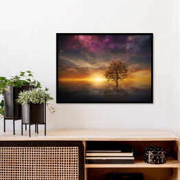 Plakat w ramie Drzewo na tle zachodzącego słońca i fioletowego nieba
