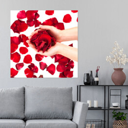 Plakat samoprzylepny Płatki czerwonych róż w kobiecych rękach