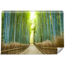 Fototapeta samoprzylepna Kyoto, Japonia Las bambusowy
