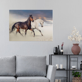 Plakat Dwa konie biegnące po pustyni 