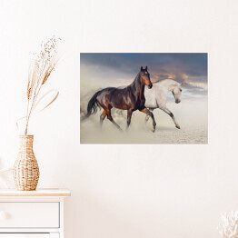 Plakat samoprzylepny Dwa konie biegnące po pustyni 