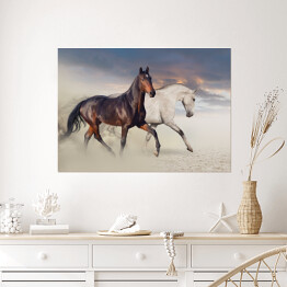 Plakat Dwa konie biegnące po pustyni 