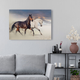 Obraz na płótnie Dwa konie biegnące po pustyni 