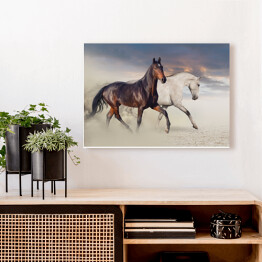 Obraz na płótnie Dwa konie biegnące po pustyni 