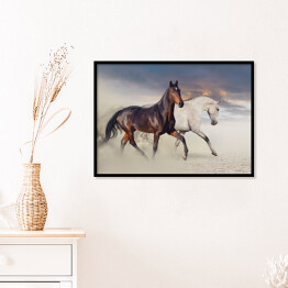 Plakat w ramie Dwa konie biegnące po pustyni 