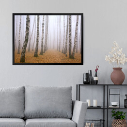 Obraz w ramie Droga poprzez mglisty brzozowy gaj