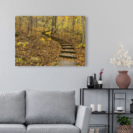 Obraz na płótnie Drewniane stopnie w lesie