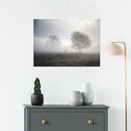 Plakat samoprzylepny Jeleń na polanie w gęstej mgle