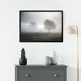 Obraz w ramie Jeleń na polanie w gęstej mgle