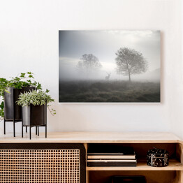 Obraz na płótnie Jeleń na polanie w gęstej mgle