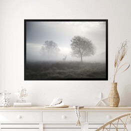 Obraz w ramie Jeleń na polanie w gęstej mgle