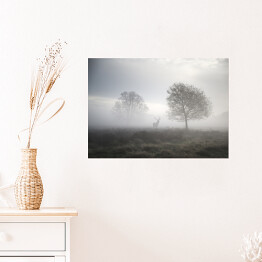 Plakat Jeleń na polanie w gęstej mgle