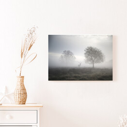 Obraz na płótnie Jeleń na polanie w gęstej mgle