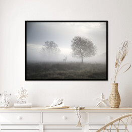 Plakat w ramie Jeleń na polanie w gęstej mgle