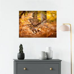 Plakat Jeleń w lesie w złocistych barwach