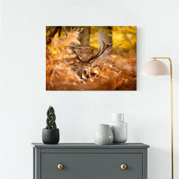 Obraz na płótnie Jeleń w lesie w złocistych barwach