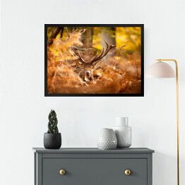 Obraz w ramie Jeleń w lesie w złocistych barwach