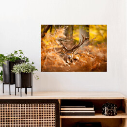 Plakat samoprzylepny Jeleń w lesie w złocistych barwach